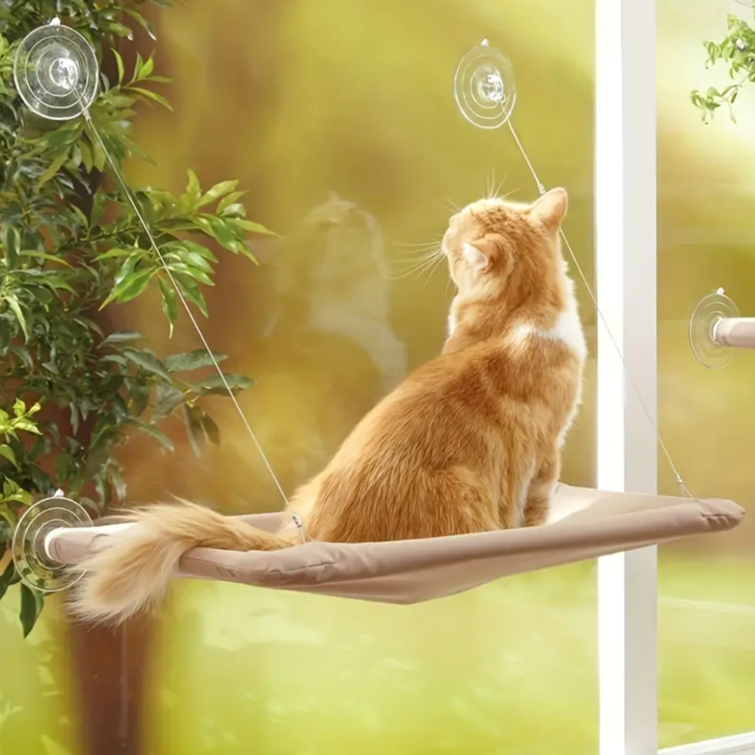 The Cat Window Perch Bed - Ginger Pets