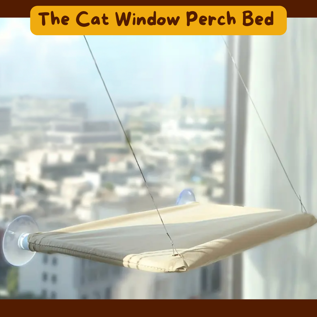 The Cat Window Perch Bed - Ginger Pets