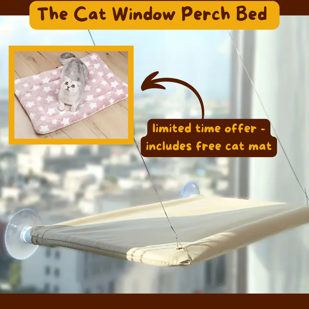 The Cat Window Perch Bed - Ginger Pets