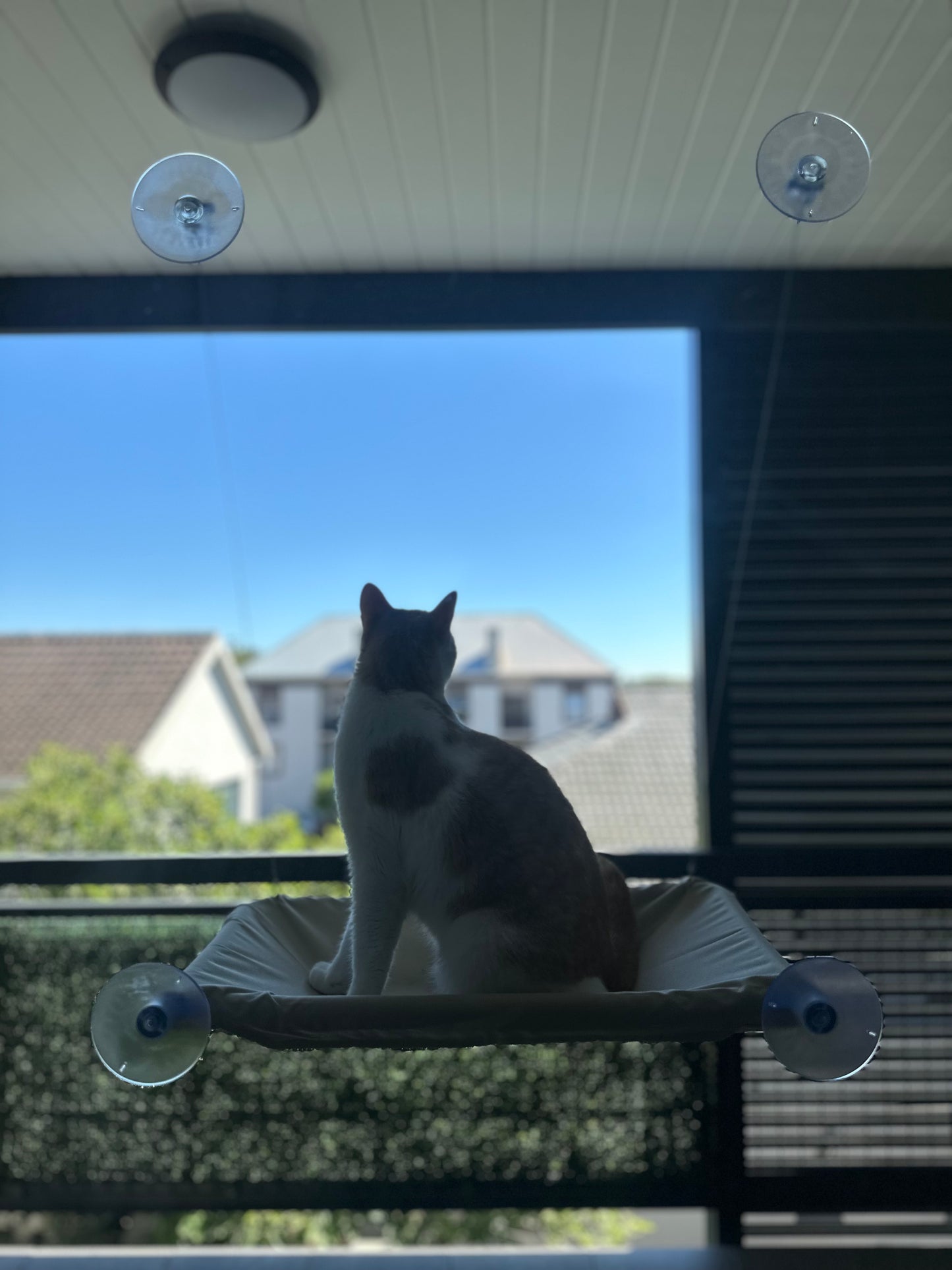 The Cat Window Perch Bed - Ginger Pets
