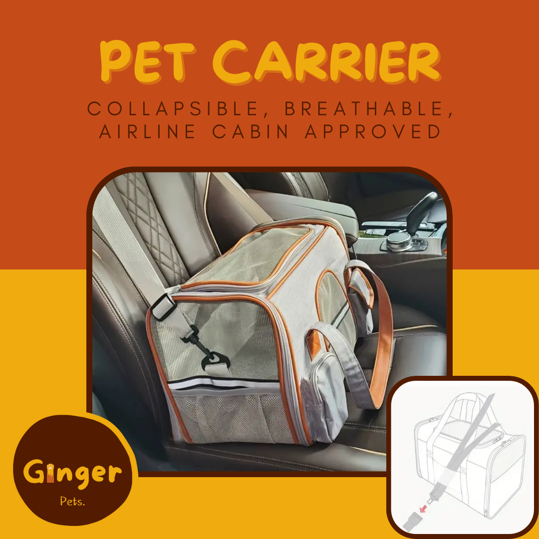 The Stylish Pet Carrier