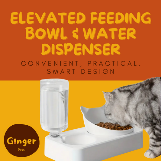 Elevated Bowl & Water Dispenser