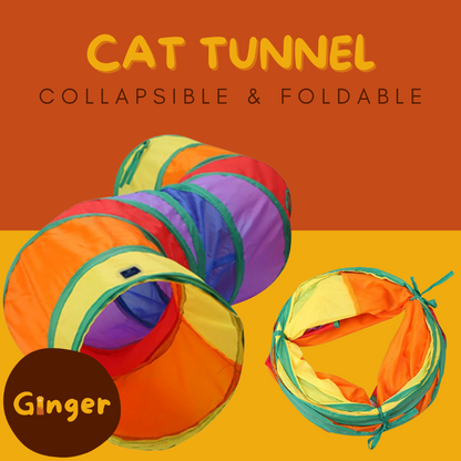 The Rainbow S-Shaped Cat Tunnel