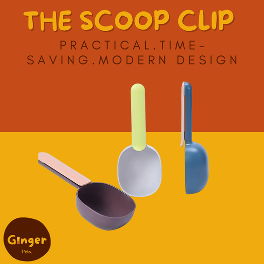 Dual-Function Food Scoop and Bag Clip