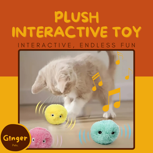 Plush Interactive Toy