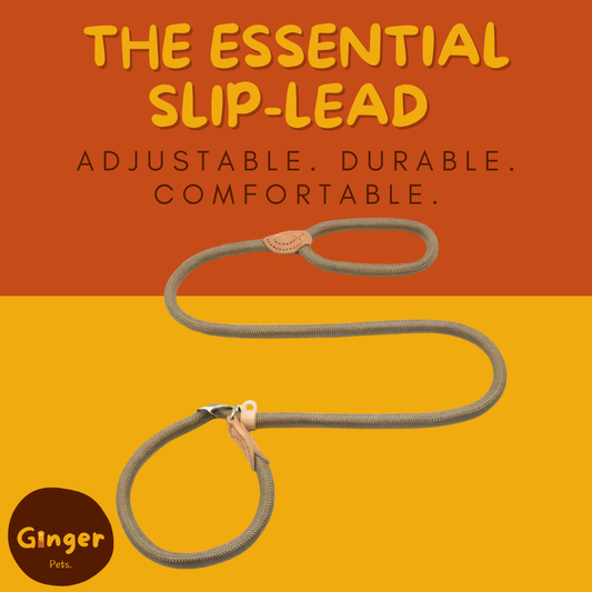 The Essential Slip Lead