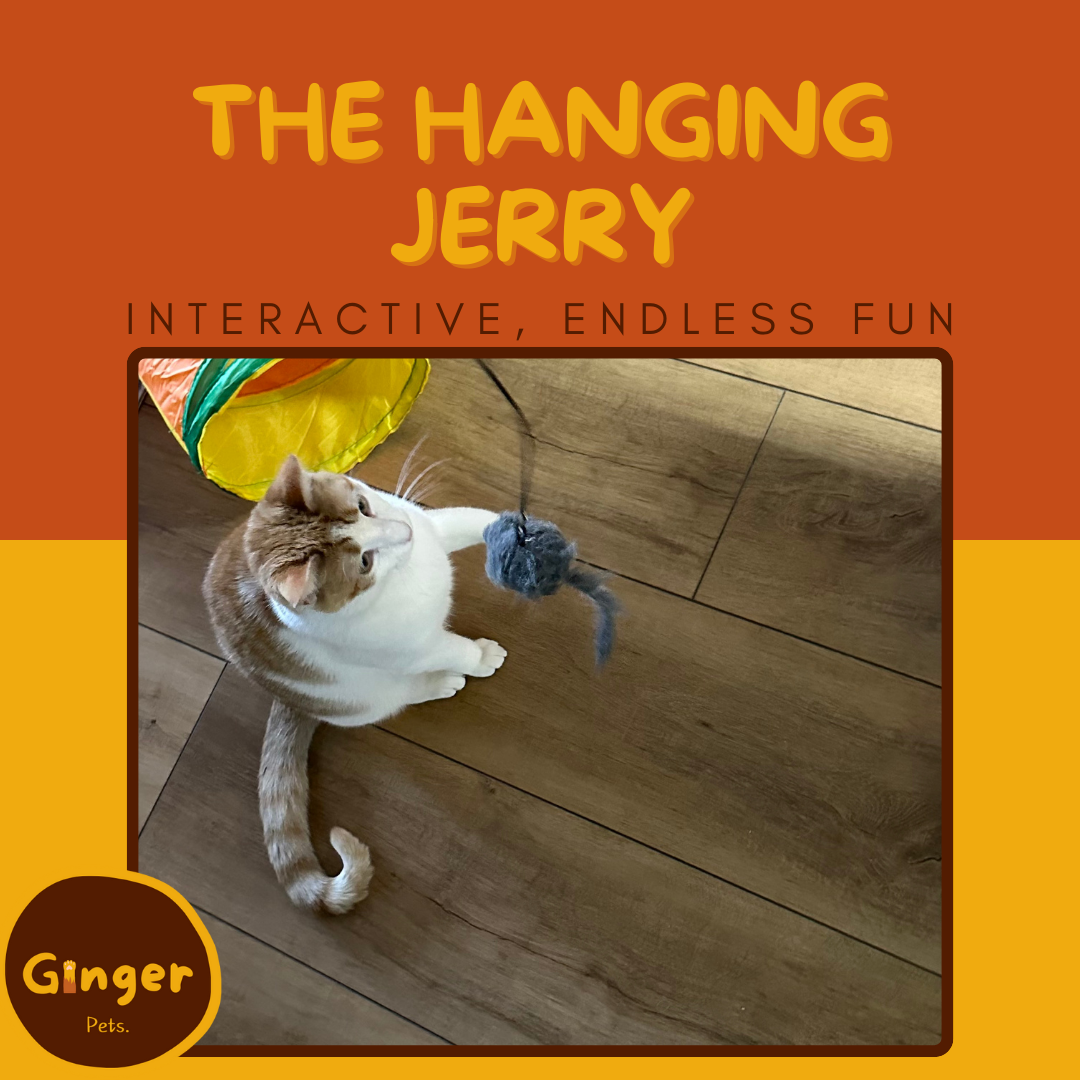 The Hanging Jerry Mouse