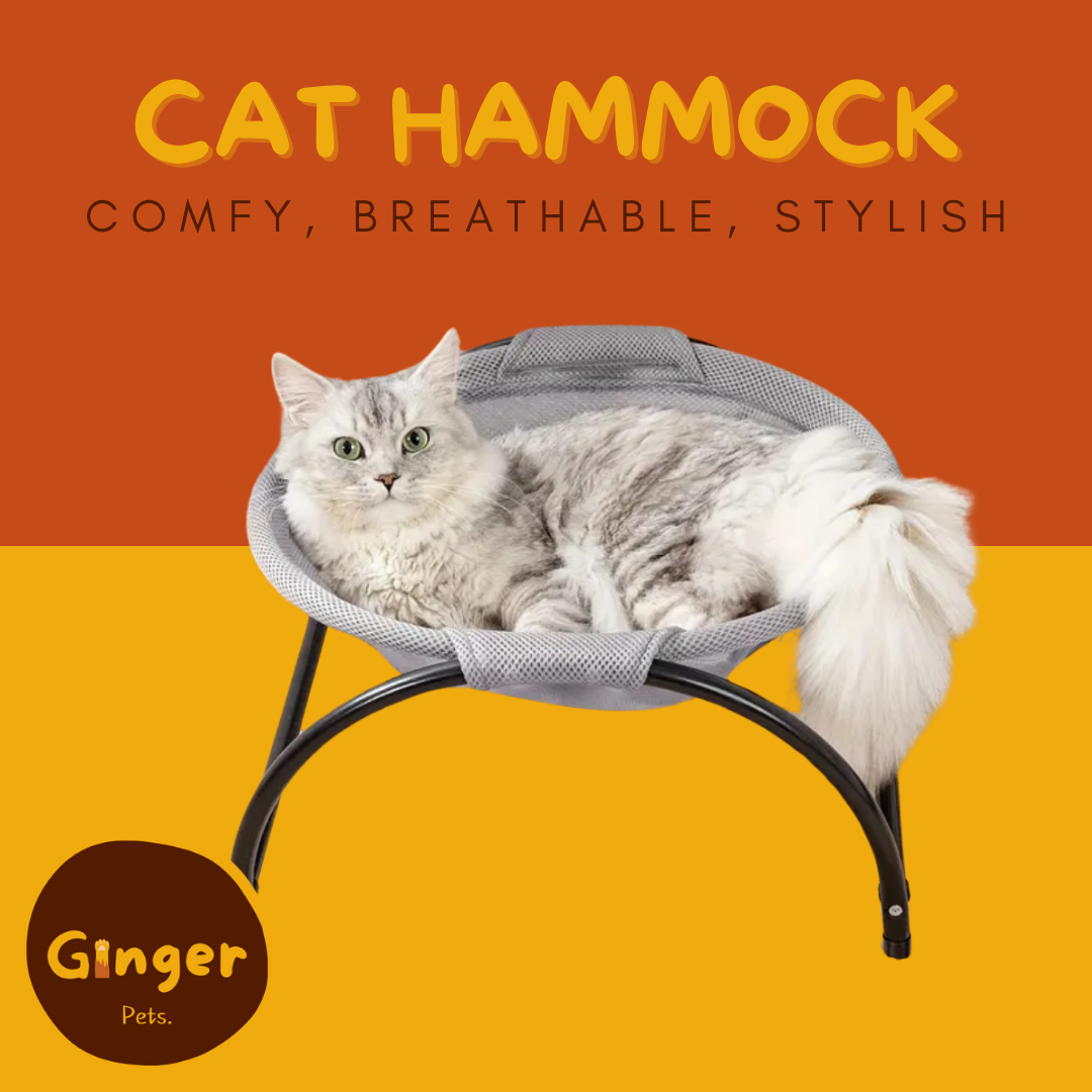 Cat Hammock Bed