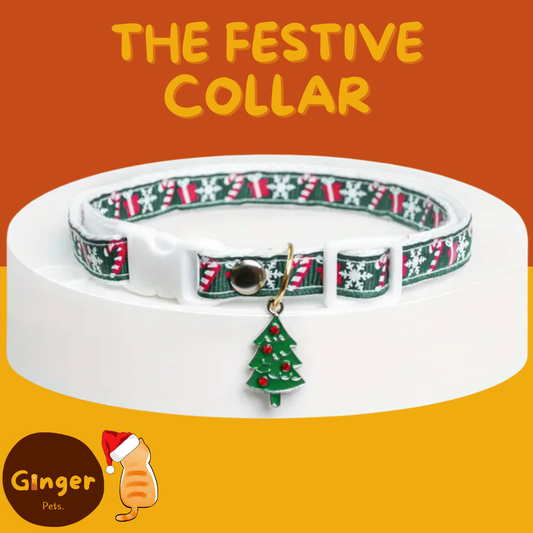 The Festive Collar