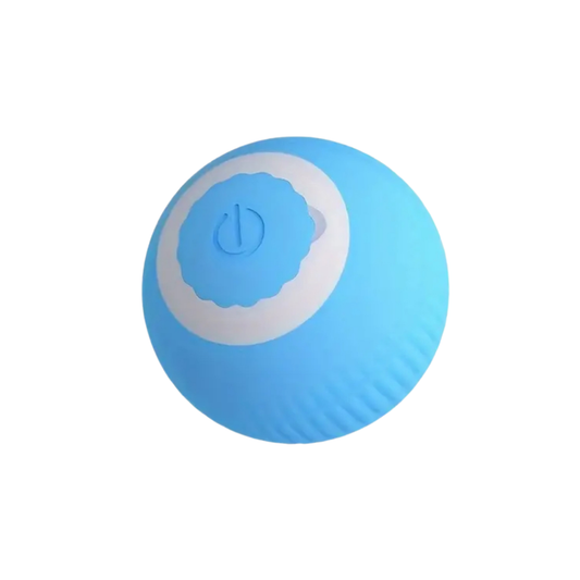 Interactive Cat Ball - Ginger Pets