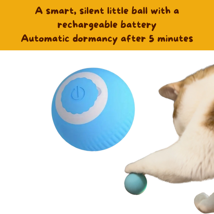 Interactive Cat Ball - Ginger Pets