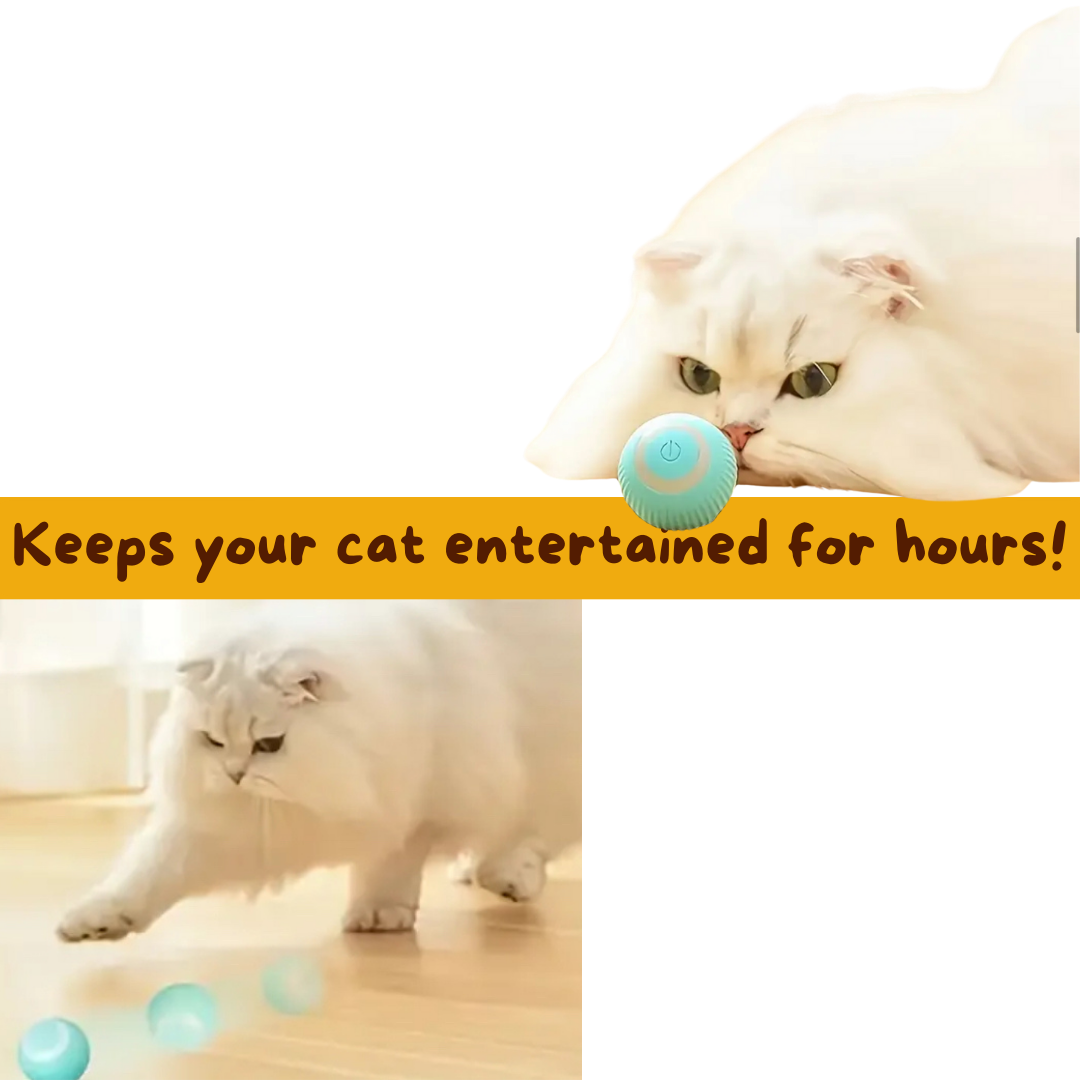Interactive Cat Ball - Ginger Pets