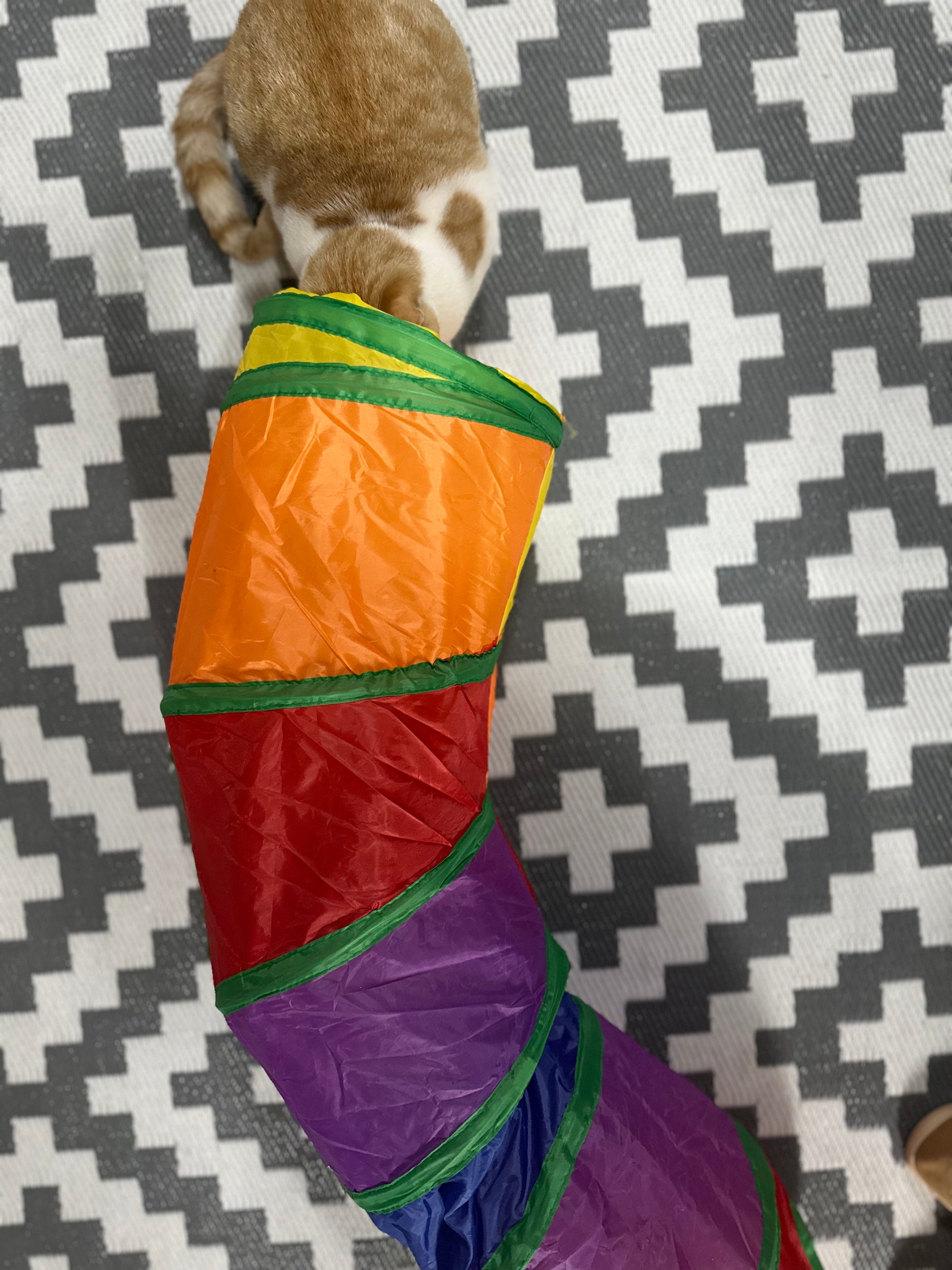 The Rainbow S-Shaped Cat Tunnel - Ginger Pets