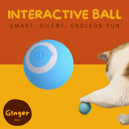 Interactive Cat Ball