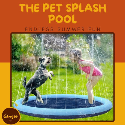 The Pet Splash Pool