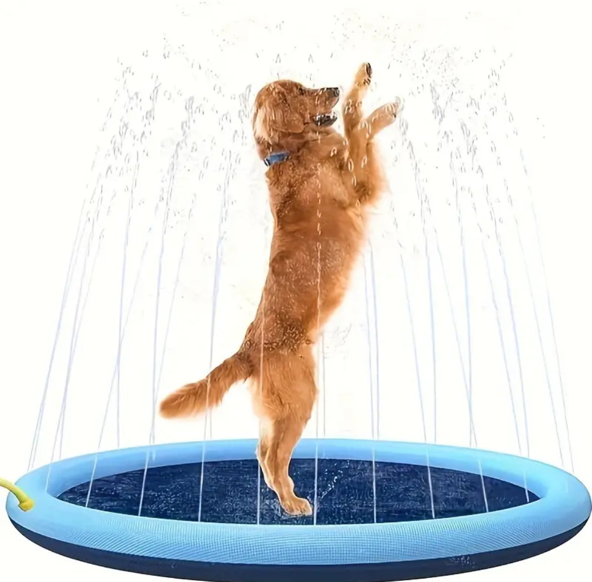 The Pet Splash Pool - Ginger Pets