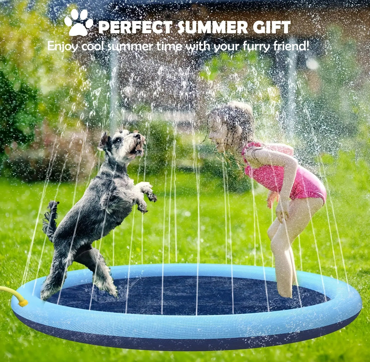The Pet Splash Pool - Ginger Pets